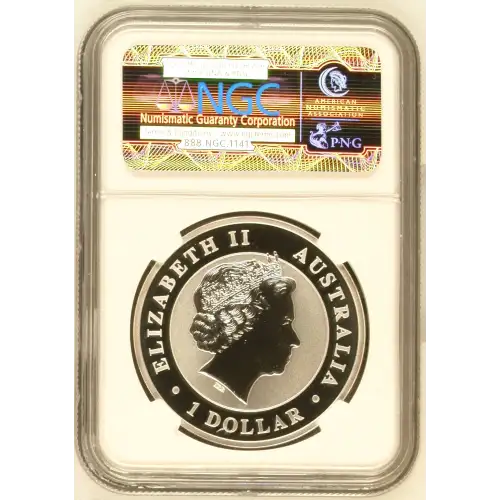 2011P Koala (3)
