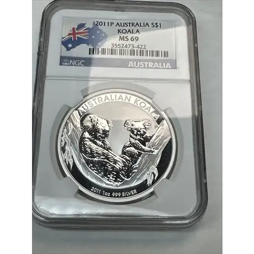 2011P Koala