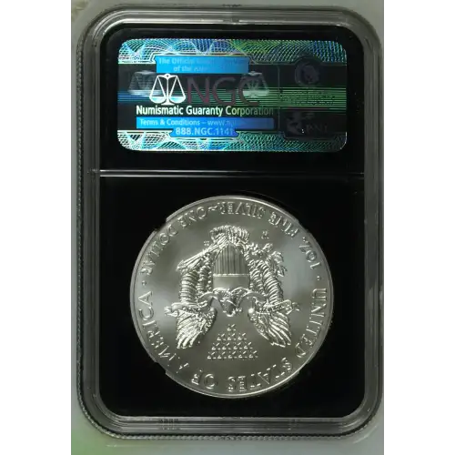 2012 W BURNISHED SILVER EAGLE (3)