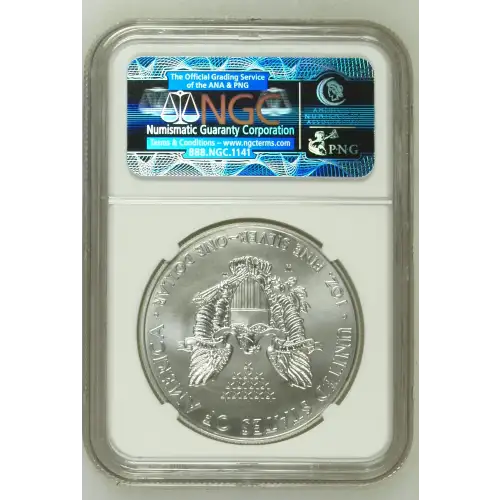 2012 W BURNISHED SILVER EAGLE (3)