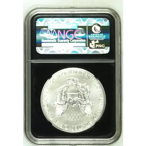 2012 W BURNISHED SILVER EAGLE (3)