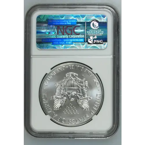 2012 W BURNISHED SILVER EAGLE (3)