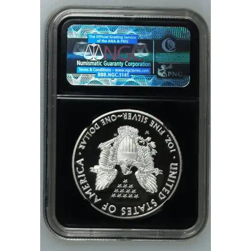 2012 W  ULTRA CAMEO (3)