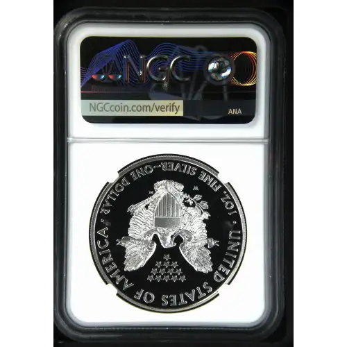 2012 W  ULTRA CAMEO (3)