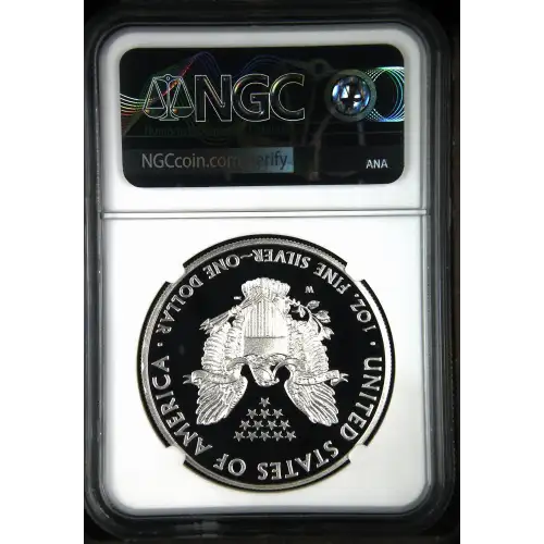 2012 W  ULTRA CAMEO (3)