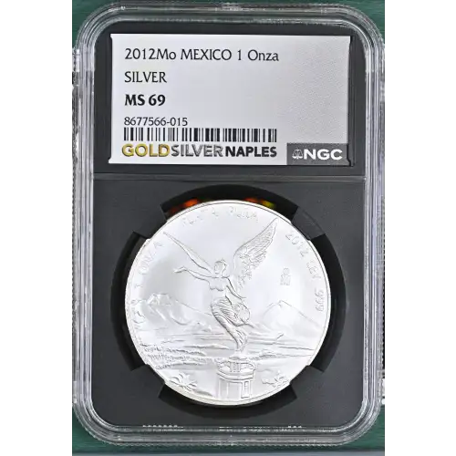 2012Mo SILVER (2)