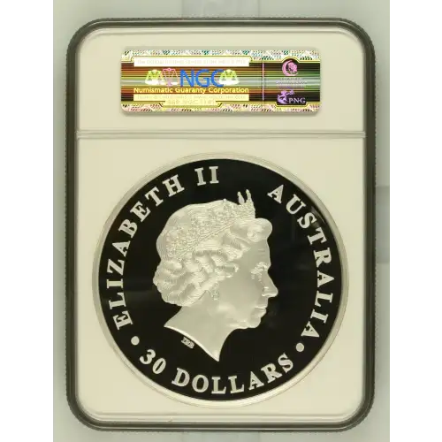 2012P Koala ULTRA CAMEO (3)