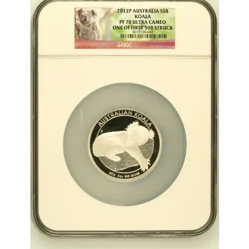2012P Koala ULTRA CAMEO (2)