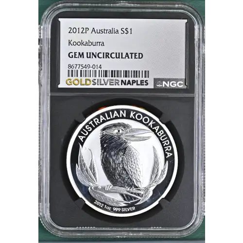 2012P Kookaburra (2)