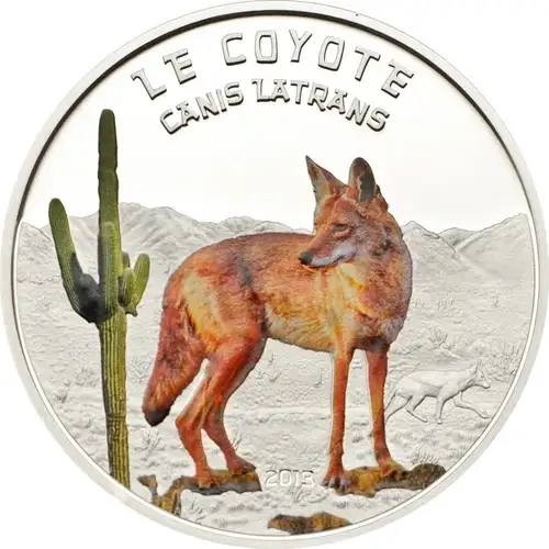 2013 1000 Fr Coyote, DCAM
