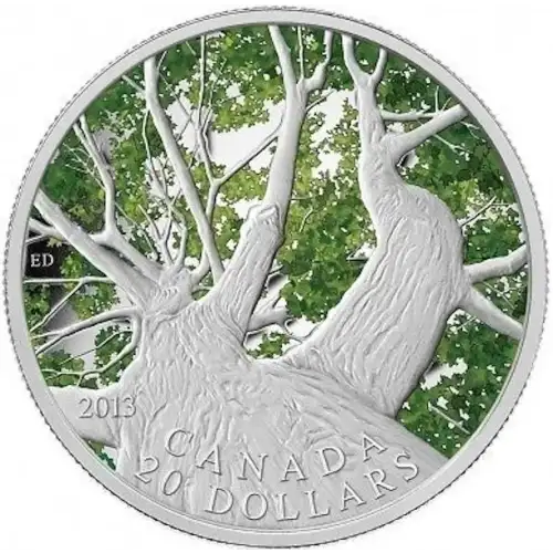 2013 $20 Maple Canopy Spring, DCAM