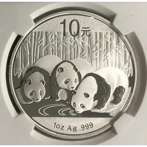 2013 China S10Y Panda MS70 NGC