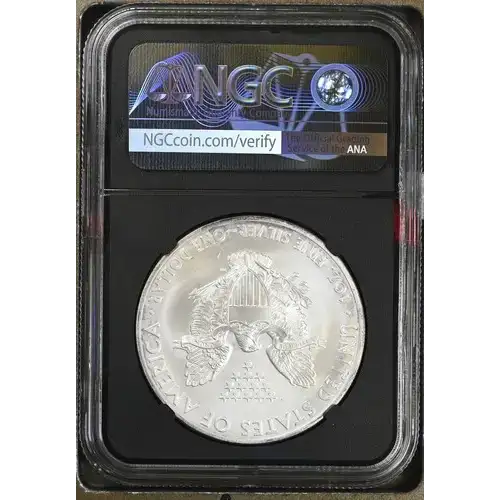 2013 EAGLE S$1 GEM UNCIRCULATED (2)