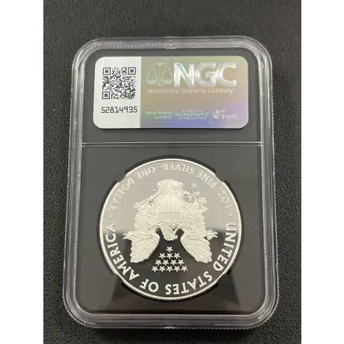 2013 W $1 SILVER EAGLE PF70UC NGC (2)