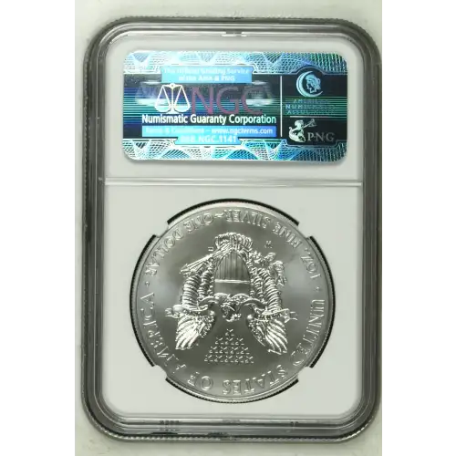 2013 W BURNISHED SILVER EAGLE (3)