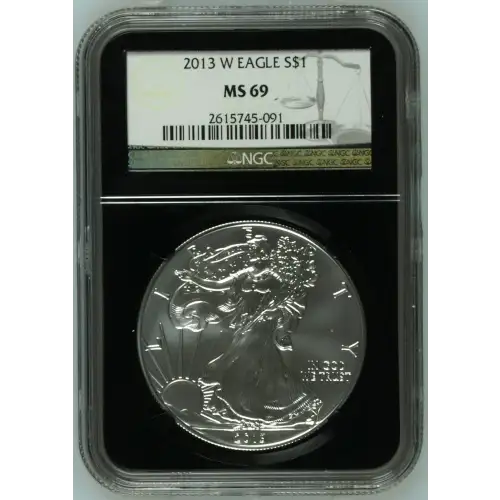 2013 W BURNISHED SILVER EAGLE (2)