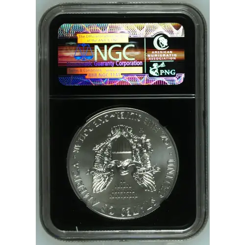 2013 W BURNISHED SILVER EAGLE (3)