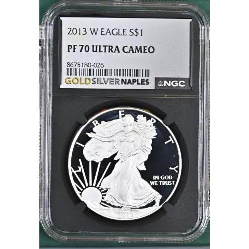 2013 W  ULTRA CAMEO (2)