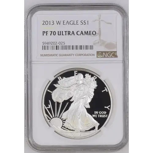 2013 W  ULTRA CAMEO (2)