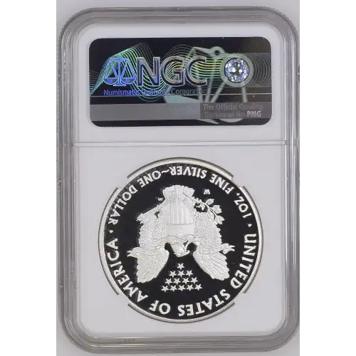 2013 W  ULTRA CAMEO (3)