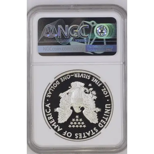 2013 W  ULTRA CAMEO (3)