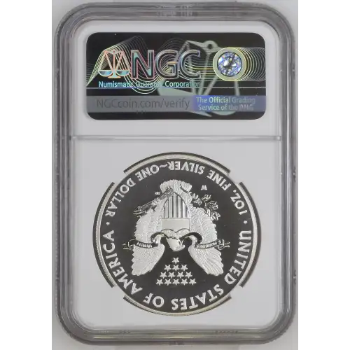 2013 W WEST POINT EAGLE SET OFFICIAL US MINT SET ENHANCED FINISH (3)