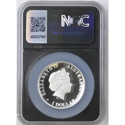 2013P Koala - High Relief ULTRA CAMEO (3)