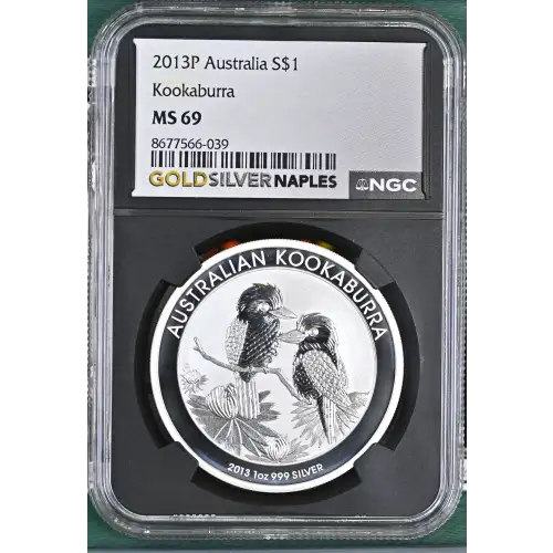 2013P Kookaburra (2)