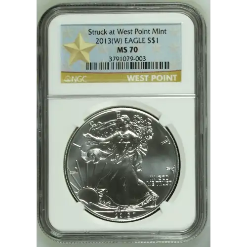 2013(W) Struck at West Point Mint (2)