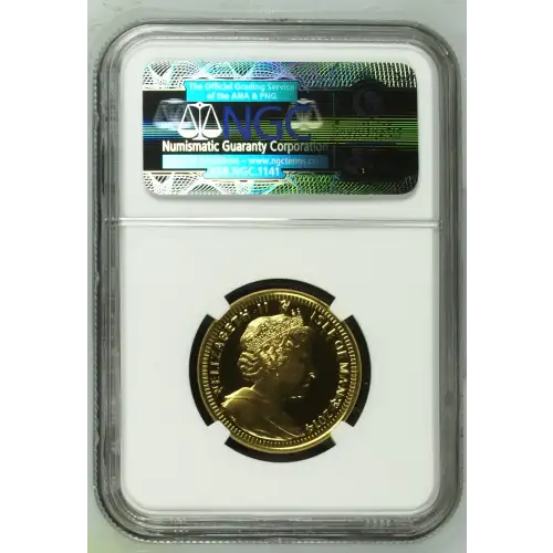 2014  ULTRA CAMEO (3)