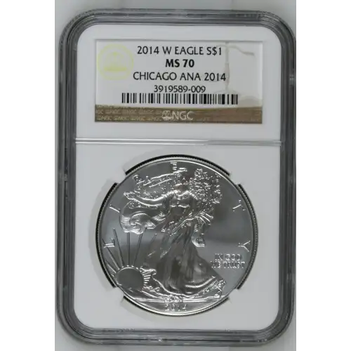 2014 W BURNISHED SILVER EAGLE (2)