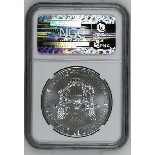 2014 W BURNISHED SILVER EAGLE (3)