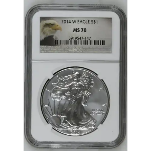 2014 W BURNISHED SILVER EAGLE (2)