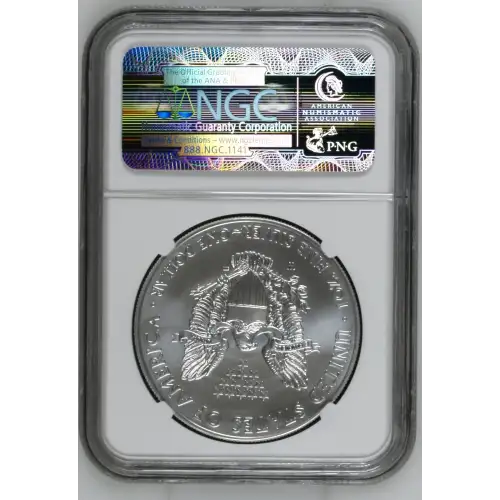 2014 W BURNISHED SILVER EAGLE (3)