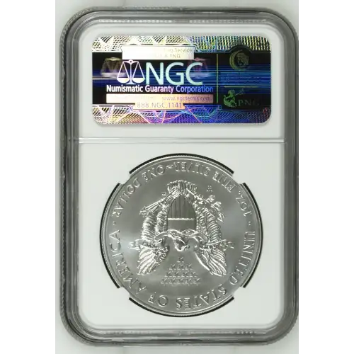 2014 W BURNISHED SILVER EAGLE (3)