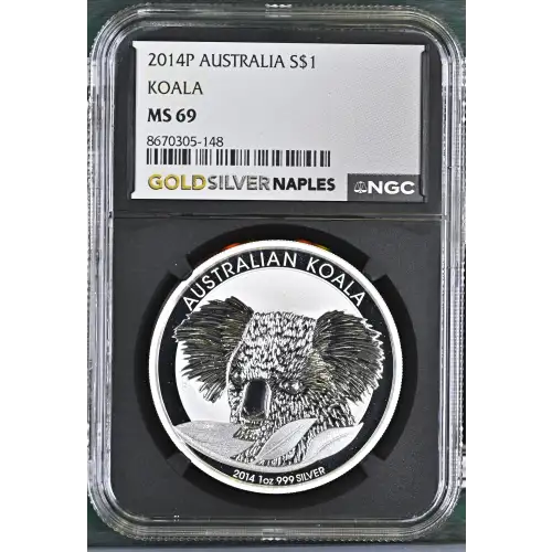 2014P Koala (2)