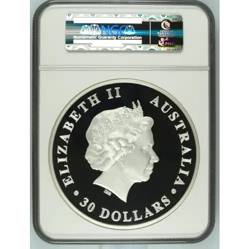 2014P Koala ULTRA CAMEO (3)