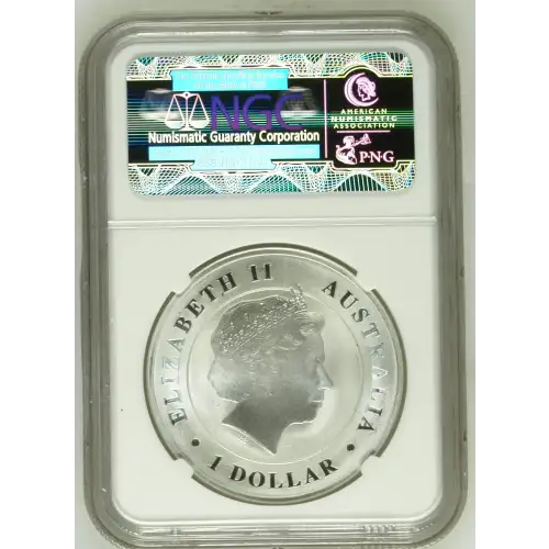 2014P Saltwater Crocodile Early Releases (3)