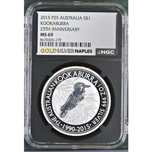 2015 P25 Kookaburra 25th Anniversary (2)