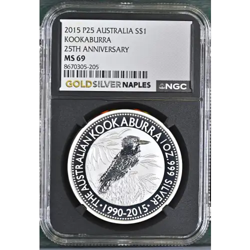 2015 P25 Kookaburra 25th Anniversary (2)