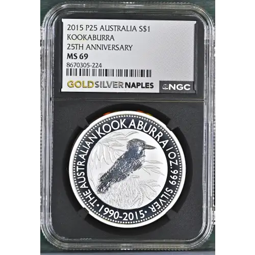 2015 P25 Kookaburra 25th Anniversary (2)