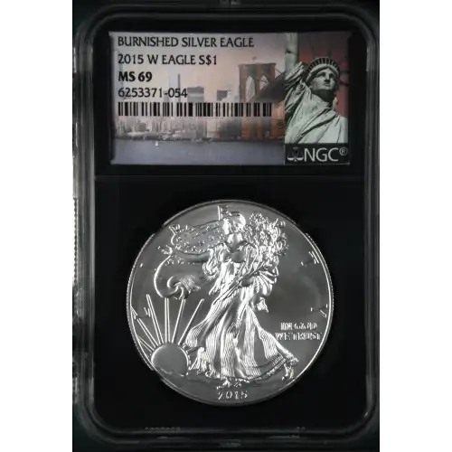 2015 W BURNISHED SILVER EAGLE (2)