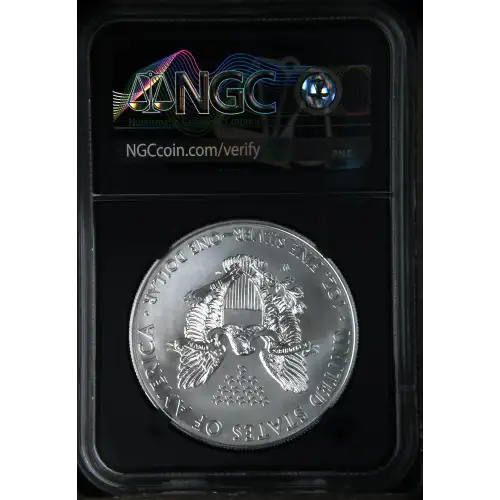 2015 W BURNISHED SILVER EAGLE (3)