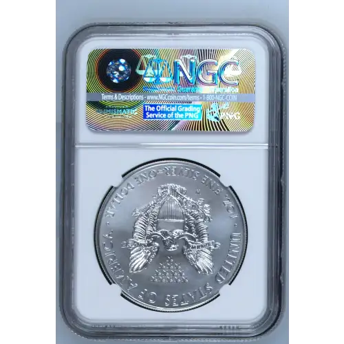 2015 W BURNISHED SILVER EAGLE FIRST DAY OF ISSUE (3)