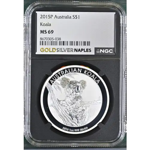 2015P Koala (2)