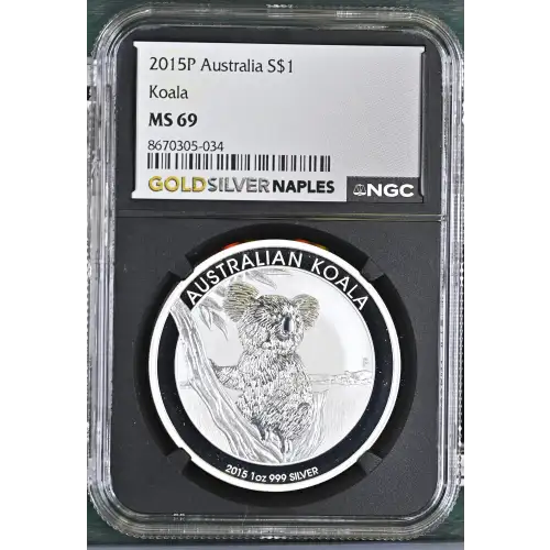 2015P Koala (2)