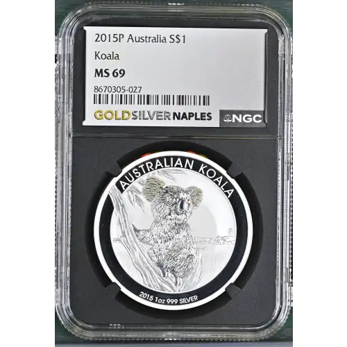 2015P Koala (2)