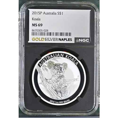 2015P Koala (2)
