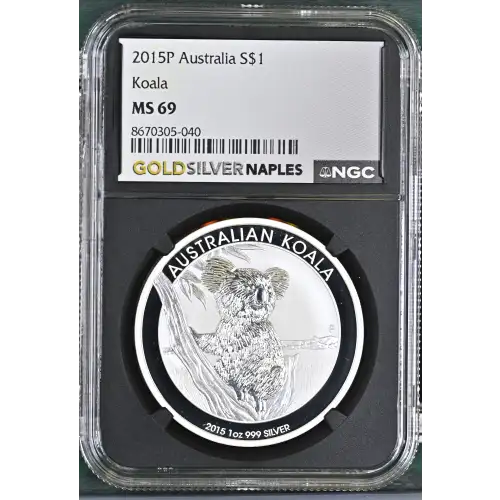 2015P Koala (2)