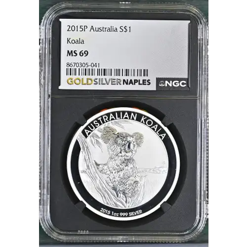 2015P Koala (2)